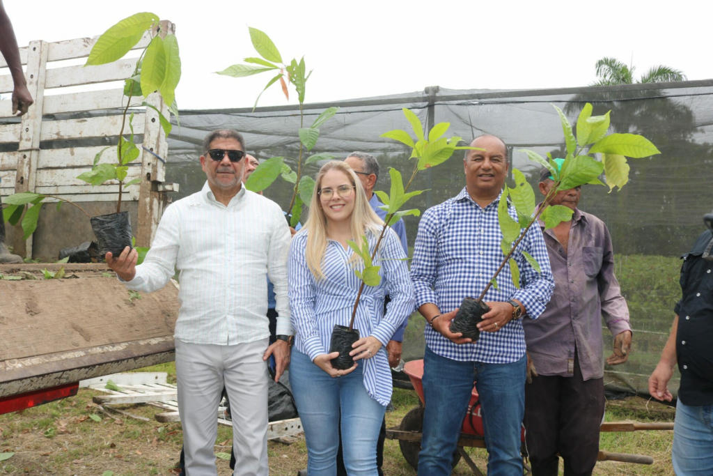 Agricultura impulsa producción cacao en el Este