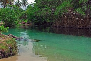 Playa Rincón: Rio Caño Frio