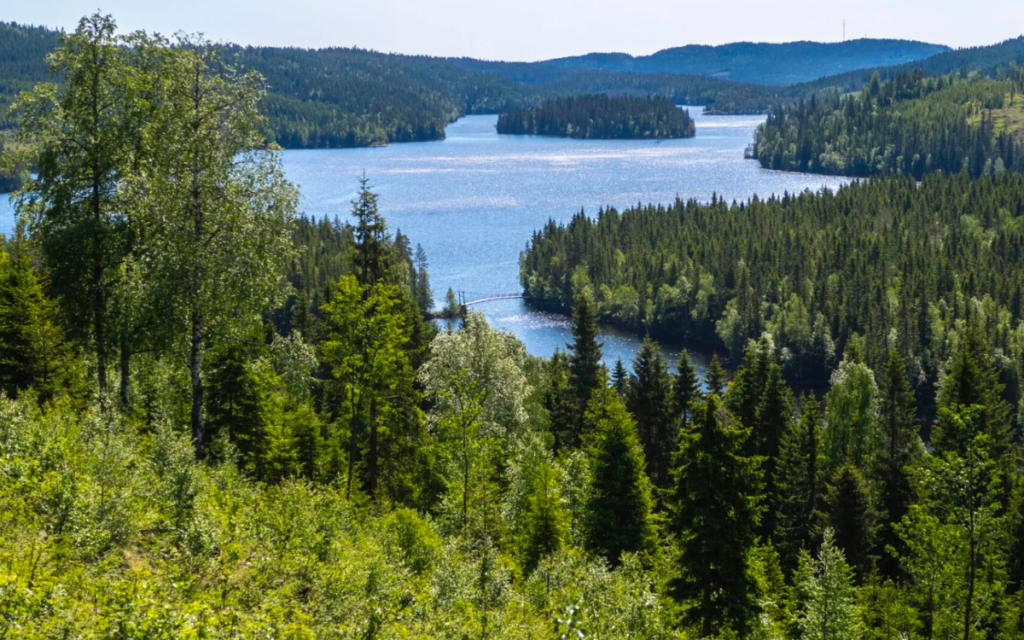 Los bosques de Noruega han triplicado su tamaño en cien años