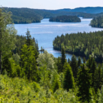 Los bosques de Noruega han triplicado su tamaño en cien años