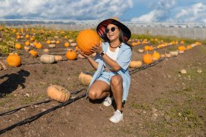 Halloween 2024: Pumpkin Patch de Tierra Tropical